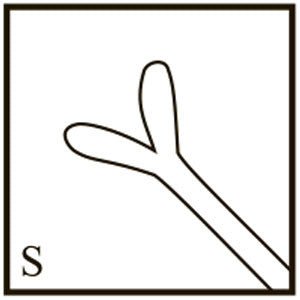 TME106 Osher “Y” Hook Angled Shaft - Titan Medical Instruments