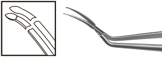 TMF102 Inamura Capsulorhexis Forceps Curved w/Marks, 1.8mm Incision, Stainless Steel - Titan Medical Instruments