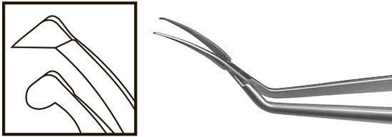 TMF103 Inamura Capsulorhexis Forceps Curved w/Marks, 1.8mm Incision, Stainless Steel - Titan Medical Instruments