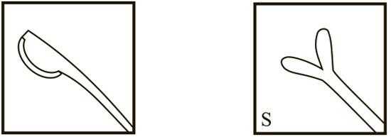 TMK201 Rosen Phaco Chopper and Bechert Nucleus Rotator - Titan Medical Instruments