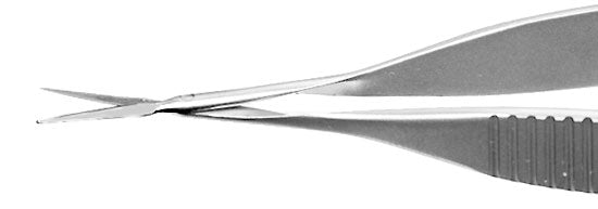 TMS101 Gills-Vannas Scissors Straight, Stainless Steel - Titan Medical Instruments
