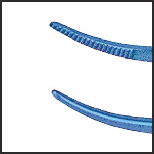 TMF604 Bonn Iris Serrated Forceps Curved, Titanium