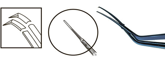 TMF186 Inamura 1.5 Cross Action Capsulorhexis Forceps Curved w/Marks, Titanium - Titan Medical Instruments